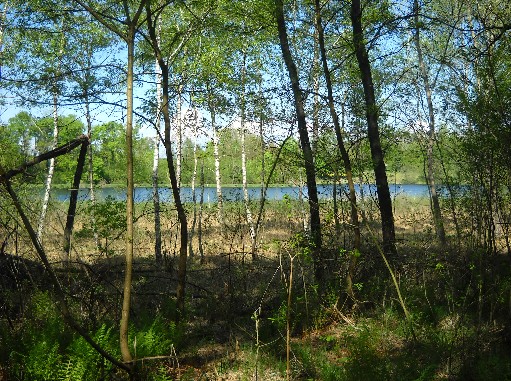 Laghi di Mercurago